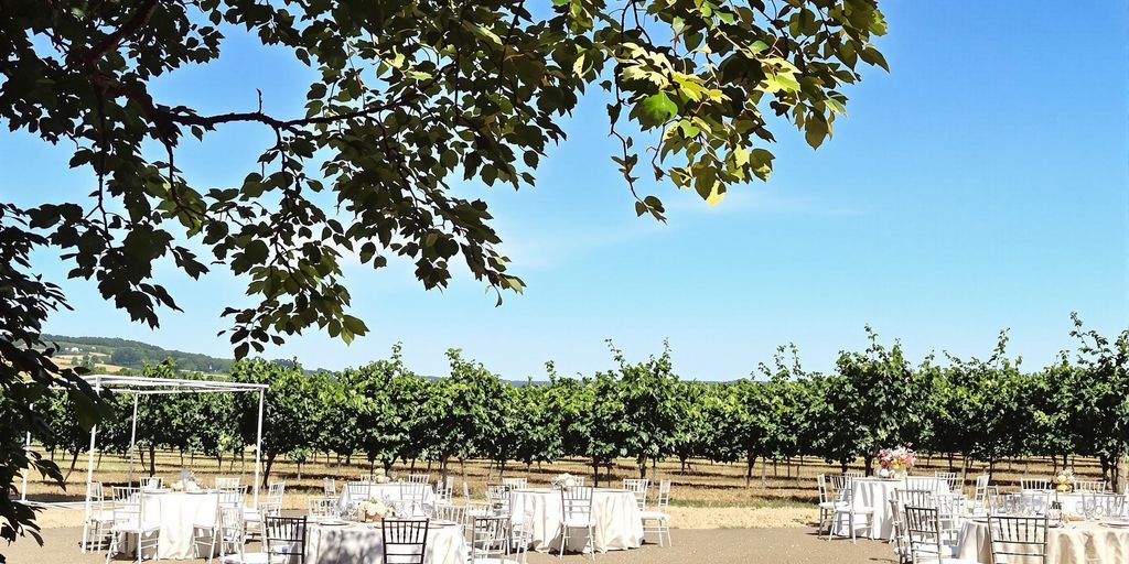 Élégante installation de mariage dans un vignoble ensoleillé du sud de la France.